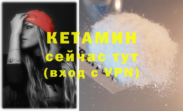 стаф Баксан