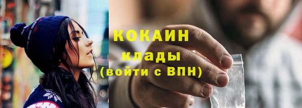 шишки Балабаново
