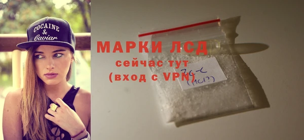 стаф Баксан